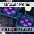 Großer Penis 03
